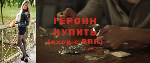 индика Ельня