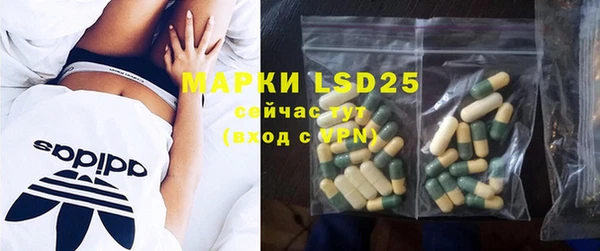 шишки Горнозаводск