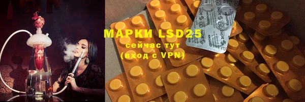 шишки Горнозаводск