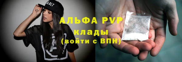 шишки Горнозаводск