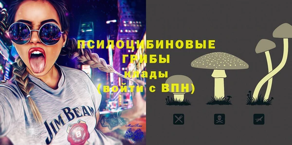 не бодяженный Гусь-Хрустальный