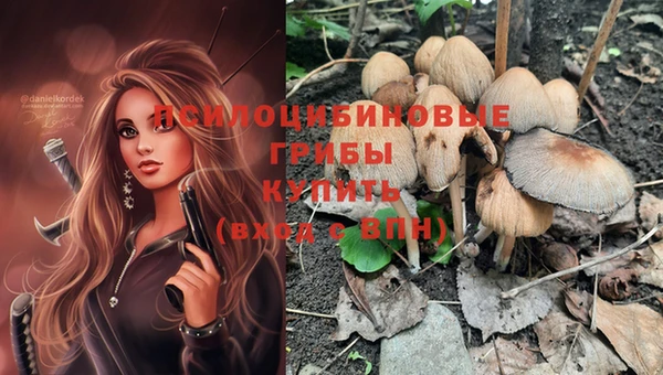 шишки Горнозаводск