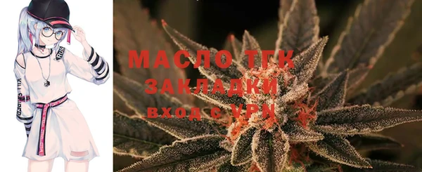 шишки Горнозаводск