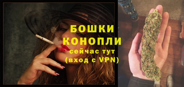 шишки Семилуки