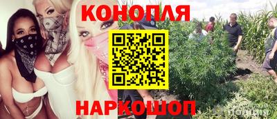 сатива Свободный