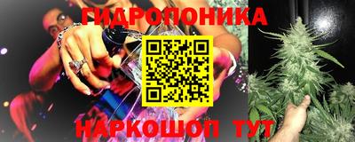 дурь Северобайкальск