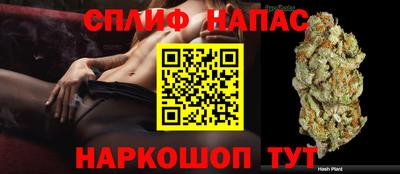 гидропоника Севастополь