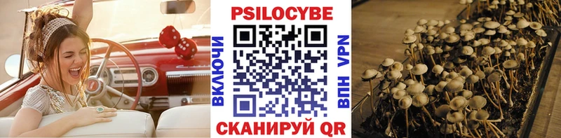 Псилоцибиновые грибы Magic Shrooms  Дальнегорск 