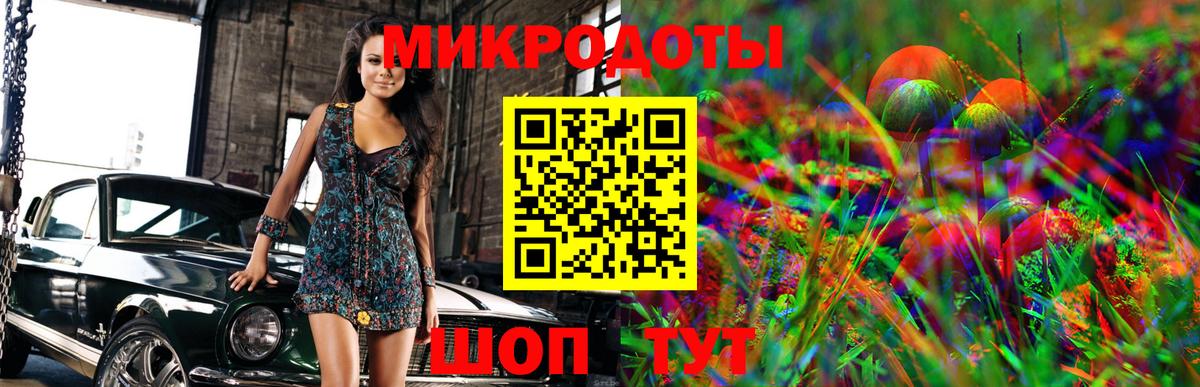 Псилоцибиновые грибы GOLDEN TEACHER Дальнегорск